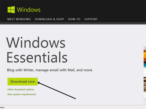 download window live mail